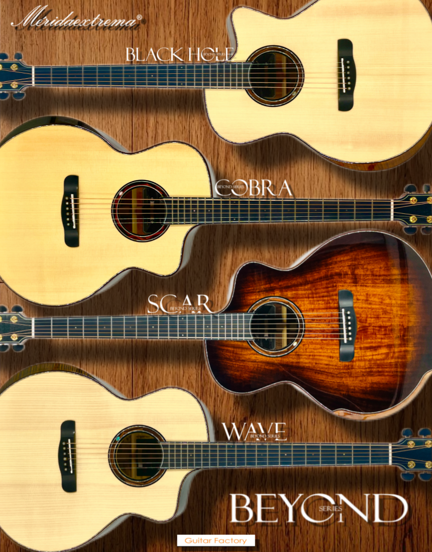 アコースティックギターMerida Extrema「PALLAS」 Merida Extrema Pallas Professional 41 Inch Acoustic Guitar